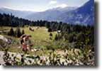 Passo del Mortirolo (1896m)

Blick von der Mortirolo NW Seite (ca. 1700m) Richtung SW