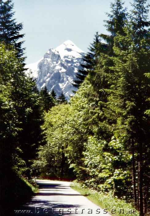Gr. Scheidegg (1954m)