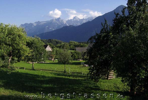 Gr. Walsertal -Faschinajoch (1490m)